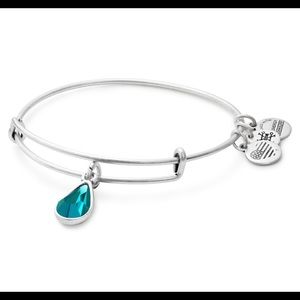 December Birth Month Charm Bangle